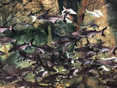 -波塞冬旅游度假区