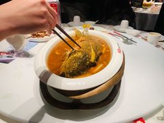 -阿五黄河大鲤鱼(英协路店)