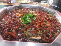 花椒鱼-王朝花椒鱼(杉板桥南一路店)