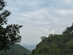 -南海湾森林生态园