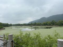-函谷关历史文化旅游区
