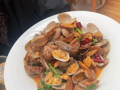 辣炒青岛小花蛤蜊-船歌·鱼水饺青岛菜(枫蓝国际购物中心店)