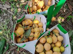 -嬉子湖生态旅游区