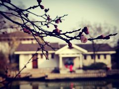 -无锡梅园公园