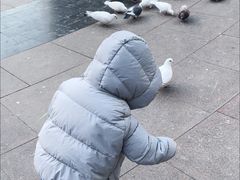 -中粮·祥云小镇