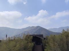 -大唐贡茶院