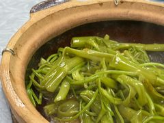 澳门虾酱啫通菜梗-天宝食坊·啫啫煲大排档(西华路店)