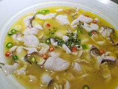 -青花椒花椒鱼(合生汇店)