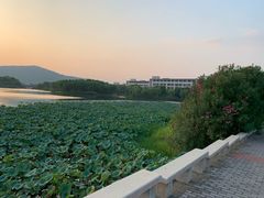 -江南大学(蠡湖校区)