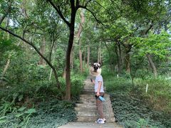-广州市帽峰山景区