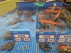 -东海怡品海鲜豆捞(星街坊店)