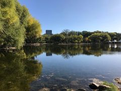 -青城公园
