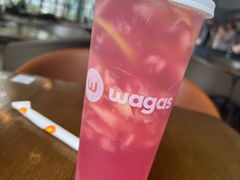 -Wagas沃歌斯(富力广场店)