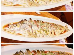 清蒸海鲜汁翘嘴大白鱼-花舍·新派粤菜·西餐·下午茶(亚运村·鸟巢店)