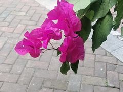 -溪畔•新徽菜(碧湖云溪店)