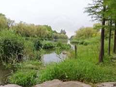 -新江湾城公园
