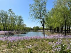 -东郊湿地公园