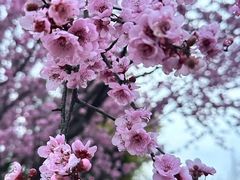 -云里小坐·海泉湾·团建·宴席·下午茶(金堂海泉湾店)