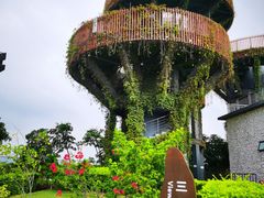 -芒洲湿地公园