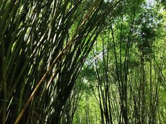 -英西峰林·洞天仙境
