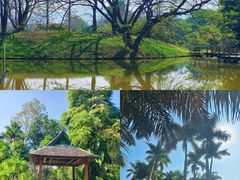 -中国科学院西双版纳热带植物园