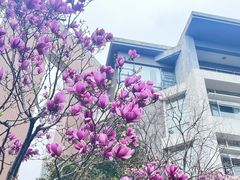-东华大学(松江校区)