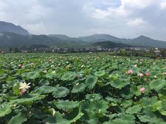 -古田会议纪念馆