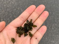 -钟山体育运动公园