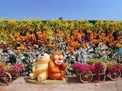 -郑州方特梦幻王国