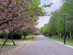 -石湖景区