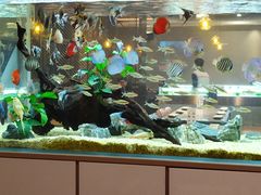 -黄鱼炙夜(华家池店)