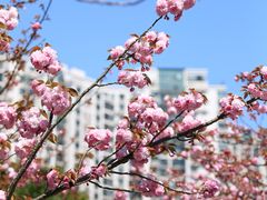 -苏州河梦清园环保主题公园