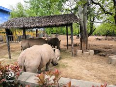 -西安秦岭野生动物园