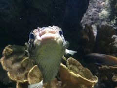 -多彩贵州城极地海洋世界