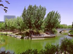 -大兴滨河森林公园