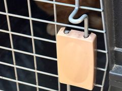 -宠颐生汉谟拉比宠物医院