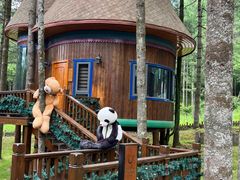 -洛阳白云山景区