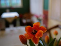 -花·fleur古董西餐厅(西城夜未央店)