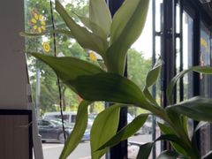 -盱眙虾怪·旗舰店