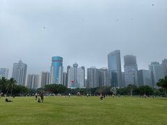 -万绿园