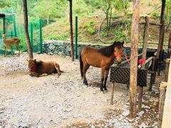 -西部长青自然儿童乐园