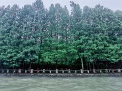 -运河游船(武林门码头)