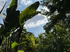 -西双版纳融创皇冠假日度假酒店