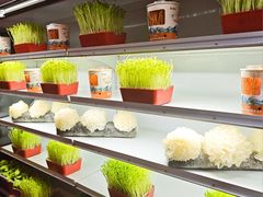 -番食园鲜食火锅(高新店)