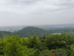 -上海佘山国家森林公园西佘山园