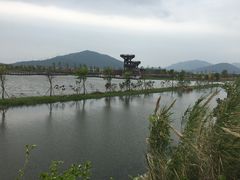 -芒洲湿地公园