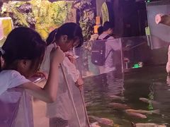 -正佳雨林生态植物园