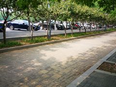 场地-奥林匹克森林公园北园-停车场