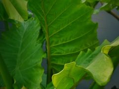 -中国农科院国家农业科技展示园