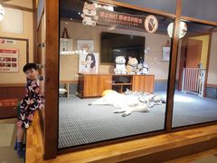 -大江户·温泉洗浴(浑南店)